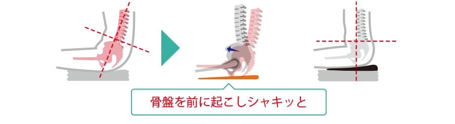 骨盤を前に起こしシャキッと