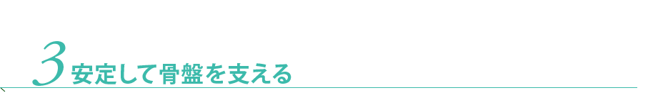 3.安定して骨盤を支える